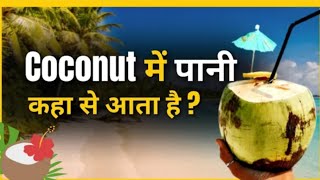 Coconut में पानी कहां से आता है?🤔 UnknownFactsAboutCoconut #Shorts #TrendingShorts #DailyShorts