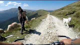 Rumunia na MTB - Munții Căpățânii