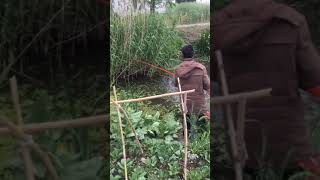 Amazing Rural Fishing Video 🐟 Best Asian Fishing Technique 🐟 #shorts