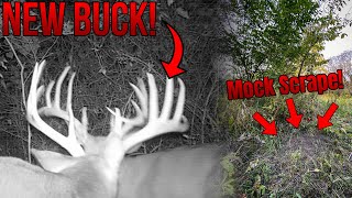 A BRAND NEW BUCK Has Shown Up?! | Indiana Suburban Deer Hunting 2020 | Episode 3