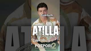 Atilla Kaya | Yalova Çınarcık Özel Kayıt Mix @MGokturkB Teşekkürler 🌺 #shorts #atillakaya