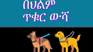 🔴በህልም #ጥቁር ውሻ ማየት