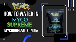 How To Water In Myco Supreme Mycorrhizal Fungi Root Enhancer