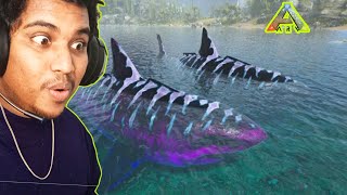 Ark Survival Evolved Mobile Tame 2 Megalodon Dinosaur