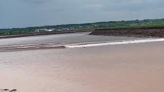 Tidal bore surfing @ Moncton NB, Canada. June 29, 2021.