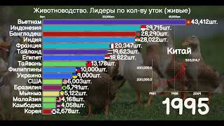 Топ страны по кол-ву уток (живых). 1961-2021.[ИНФОГРАФИКА].