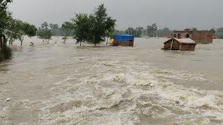 Barauli Flood 2020 | Terrifying Flood Situation | Barauli, Bihar