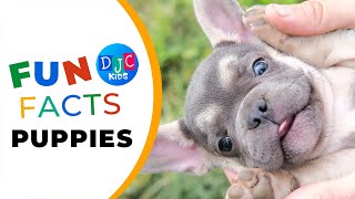 Puppy Power: 5 Fun Facts Every Kid Should Know!