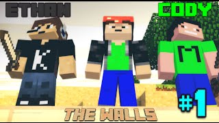 The walls! Funny Moments #1 With Ethan and Cody