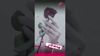 Alim Masroor Best Whatsapp sort video 2022