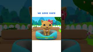 We Love Cats | Omar & Hana English