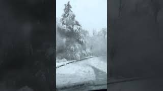 Snowstorm in the US East Coast, DC and Maryland | Arlington, Virginia