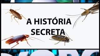 A História Secreta da Rede Globo