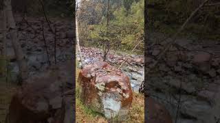 Landart mit natürlichen Materialien: Mandala-Kunstwerk in der Natur