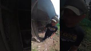 Chicken farming sa pilipinas| Paitloging manok ! sarap alagaan !