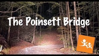 The Poinsett Bridge