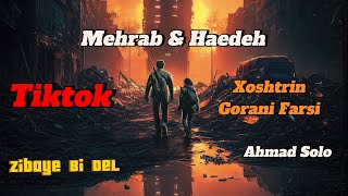 Mehrab & Haedeh & Ahmad Solo | خۆشترین گۆرانی فاڕسی Remix By Aram Gaming | Tiktok Trending 2024