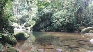 Cachoeira do Bambu - Conceição de Jacareí - Mangaratiba - RJ