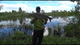 Жерех. Открытие лодочного сезона