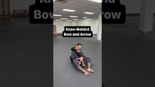 Top 10 BJJ Chokes From the Back Every Beginner Should Know #bjj #martialarts #jiujitsu