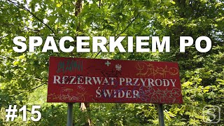 Co nas tam zaskoczy? | Rezerwat "Świder" | Spacerkiem po #15