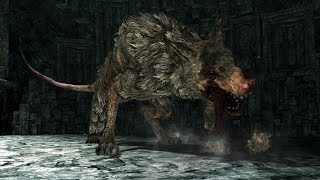 DARK SOULS II - Royal Rat Authority boss fight