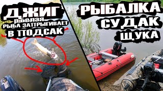 Рыбалка с Евгеном р.Белая Джиг Рыба сама запрыгивает в подсачек Ловля на спиннинг