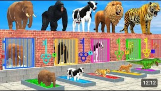 Cow Elephant Lion Gorilla Tiger T Rex Choose The Right Baby ESCAPE ROOM CHALLENGE Animals Cage Game