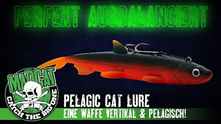 PELAGIC CAT LURE: Der Erfolgsköder für das pelagische & vertikale Angeln auf Wels I MADCAT