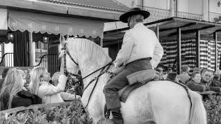 Feira do cavalo, Golegã 2017   Fotos B&W   parte 1