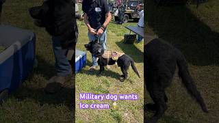 Military dog wants ice cream 🍨 top 5 most dangerous dogs on earth #mreastvlog #MrEastShorts #usa