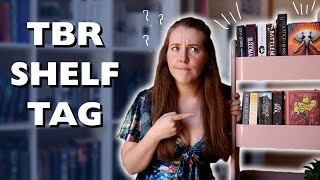 TBR SHELF TAG | Can I finish them all???