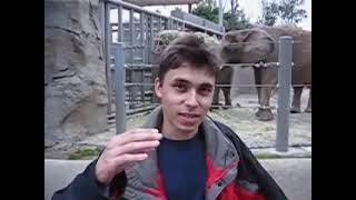 me at the zoo YouTube founder jawed karim