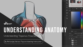 Understanding Trapezius Muscles in Human Anatomy By Mritunjay Varun