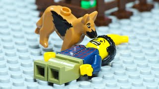 Lego City Veterinary Dog Rescue