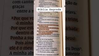 Espera em Deus, pois ainda haverá louvor. Salmos 42.5