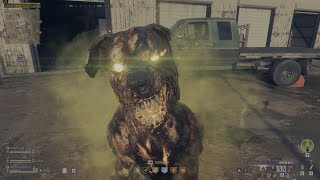 Dogg pets dog in Modern Warfare 3 these days 😂