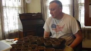 Starting Seeds In The Indoor Greenhouse Spring 2012 !.mpg