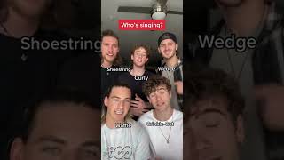 Take your pick!! 👀🤔 #ontheoutside #boyband #sing #music #shawnmendes #whenyouregone #cover #vocals