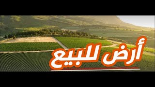 أرض للبيع الغور 0790933457