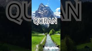 Surah Al A'raf Ayat No 44-45 urdu translation #islamic#video #shorts#reels