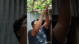 **অসাধারণ স্বাদে আমাদের গাছের পুঁইশাকের রেসিপি**|| pui shak recipe #shahinur #shortvideos #shorts