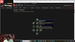 Sentinel hunter hero talent tree review (Marksmenship/Survival)