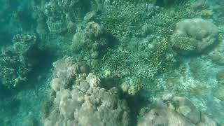 Coron Ultimate Tour - Part 1 Coral Garden