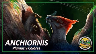 Anchiornis, plumas y colores | Jurassictube