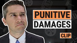 What are Punitive Damages in Employment Cases?