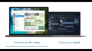 TELEGRAM dasturini yuklab olish va o'rnatish