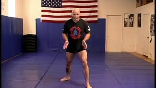 Bas Rutten DVD   All Round Fighting