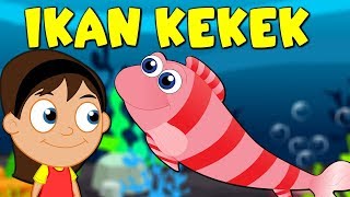 Ikan Kekek - Lagu Kanak Kanak TV - Lagu Kanak Kanak Prasekolah