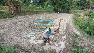 traktor sawah! menggaru dengan air SECUKUPNYA!